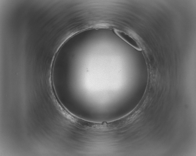 X0000071951194200607071202