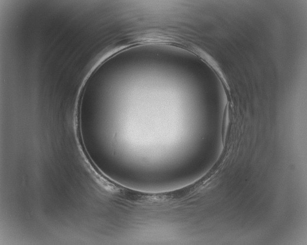 X0000071951195200607071202