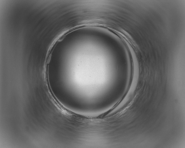 X0000071951196200607071202