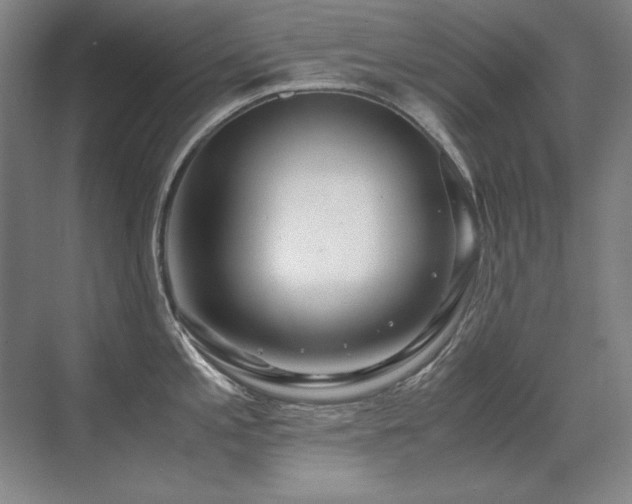 X0000071951197200607071202