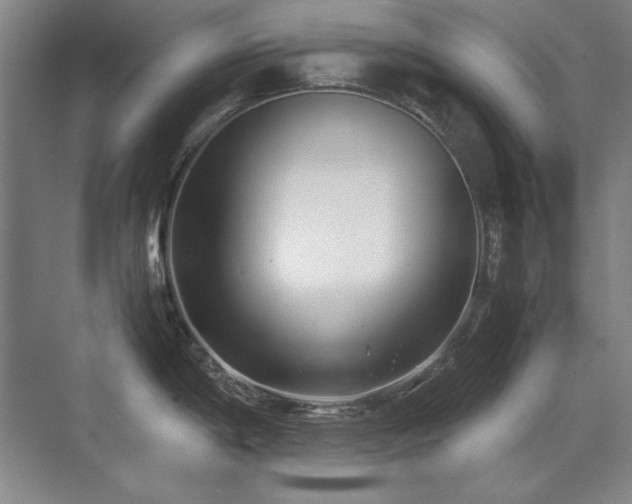 X0000071951198200607071202