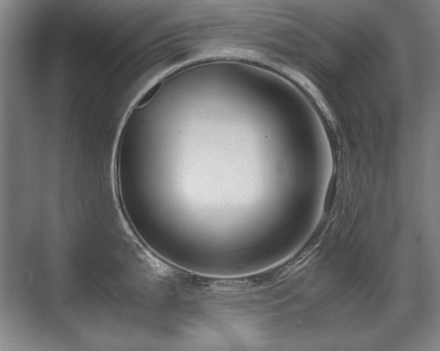 X0000071951199200607071202