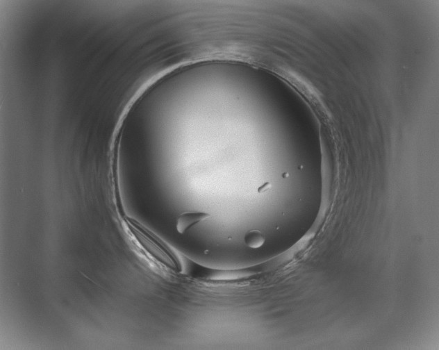 X0000071951200200607071202