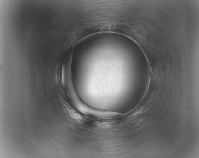 X0000071951202200607071201