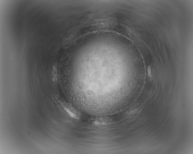 X0000071951203200607071201