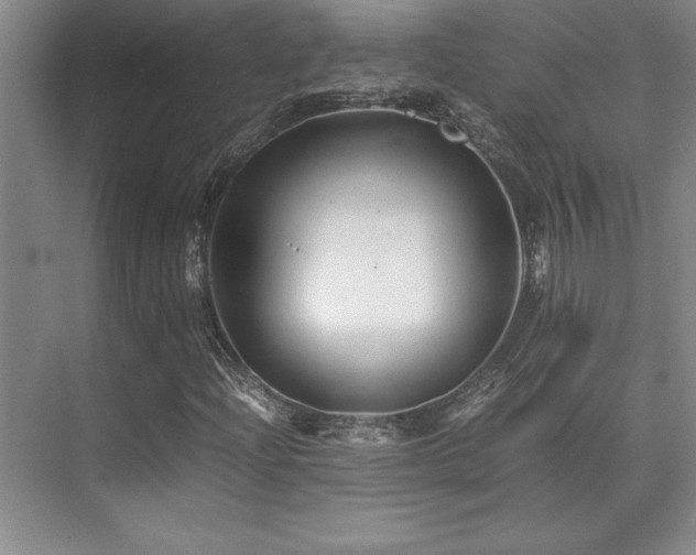 X0000071951204200607071201