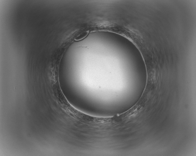 X0000071951205200607071201