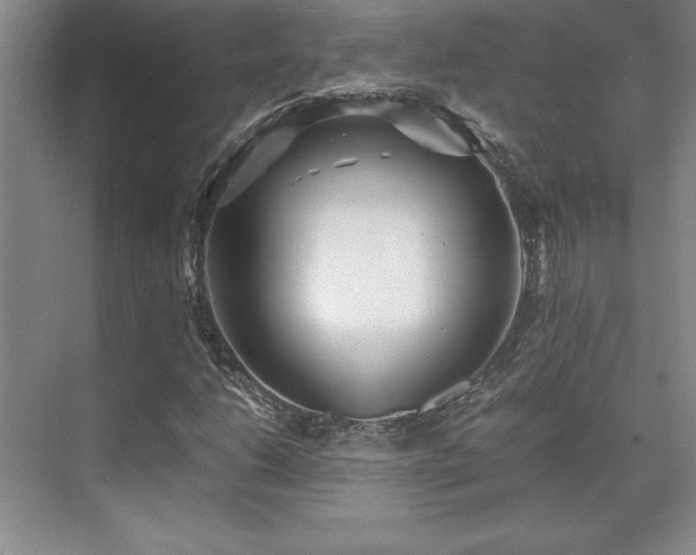 X0000071951206200607071201