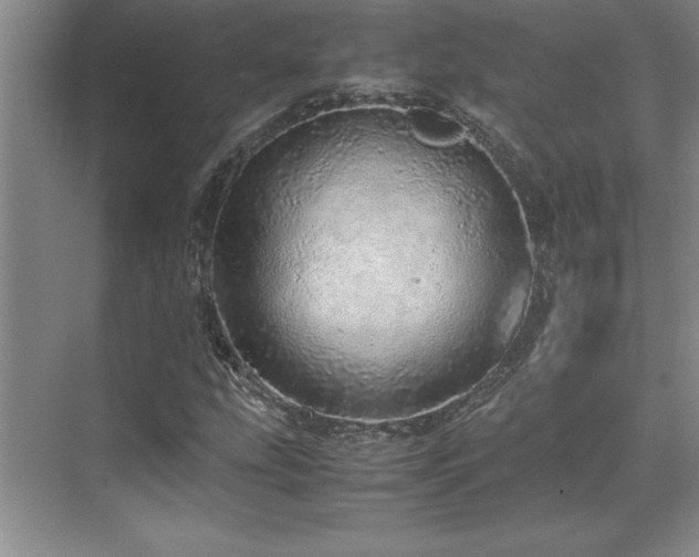 X0000071951207200607071201