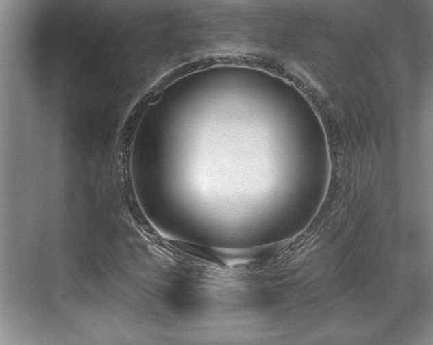 X0000071951208200607071201