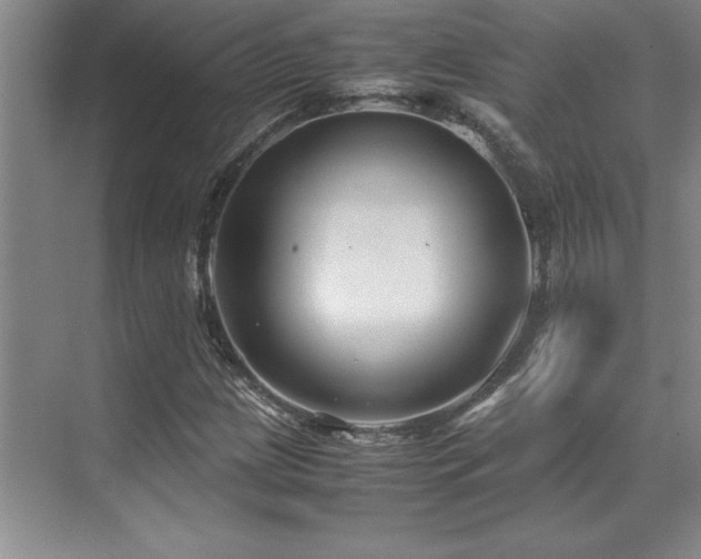 X0000071951209200607071201