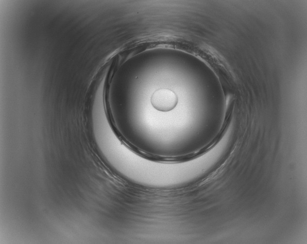 X0000071951210200607071201