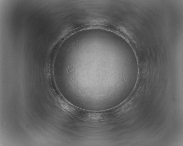 X0000071951211200607071201