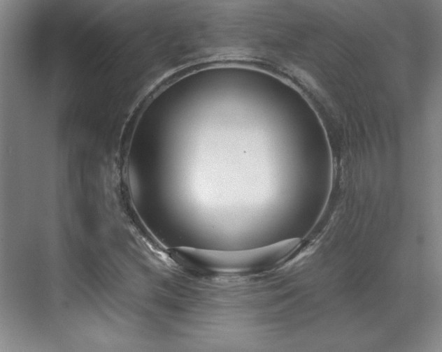 X0000071951212200607071201