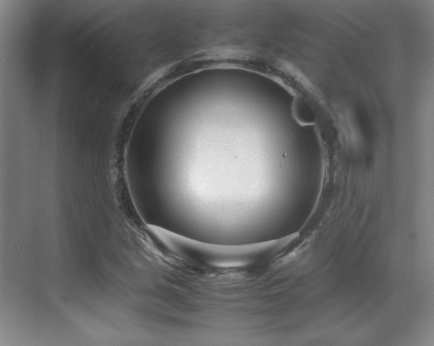 X0000071951213200607071201