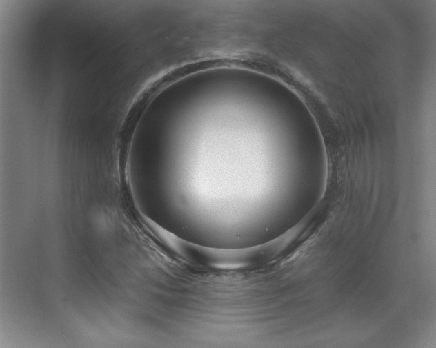 X0000071951214200607071201