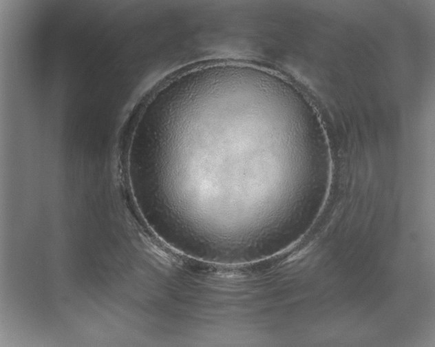 X0000071951215200607071201