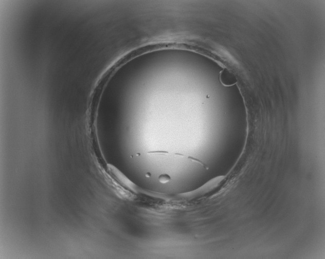 X0000071951216200607071201