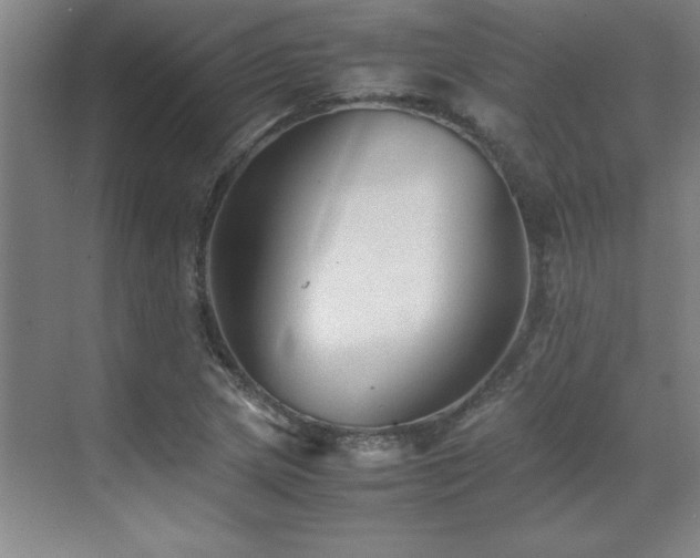 X0000071951217200607071201