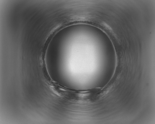 X0000071951218200607071201