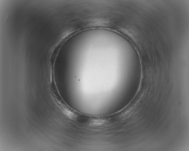 X0000071951219200607071201