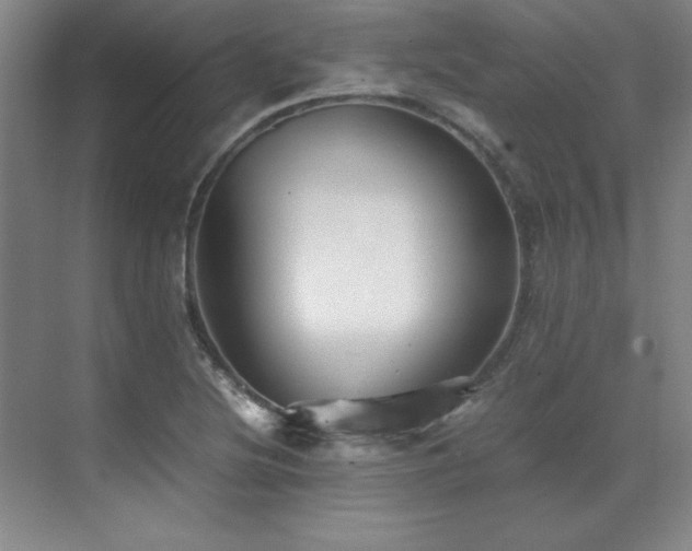 X0000071951220200607071201