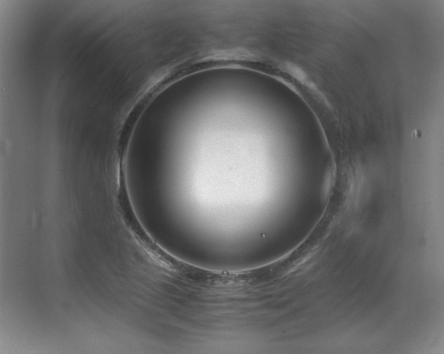 X0000071951221200607071201