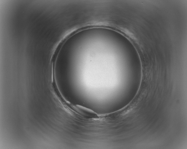 X0000071951223200607071201