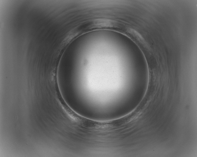 X0000071951225200607071201