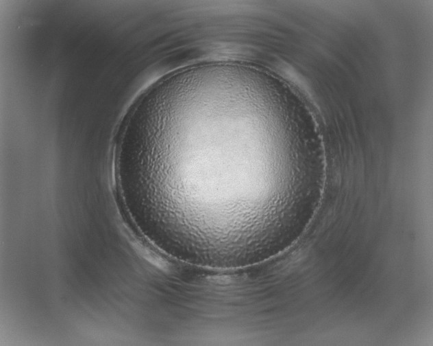 X0000071951227200607071201