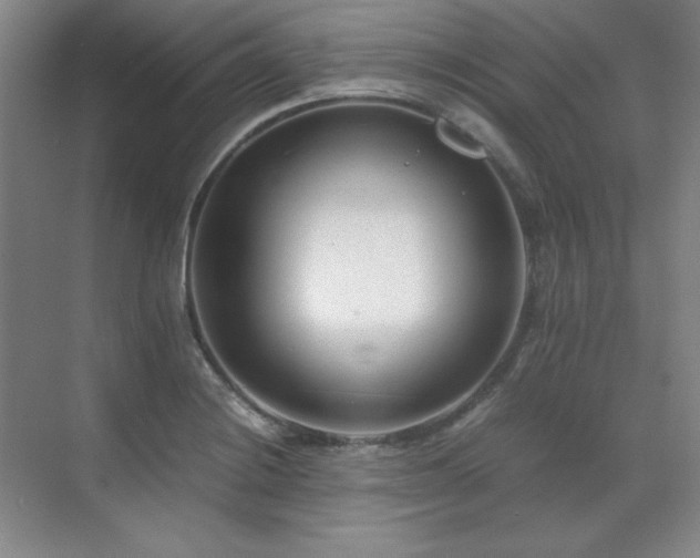 X0000071951228200607071201