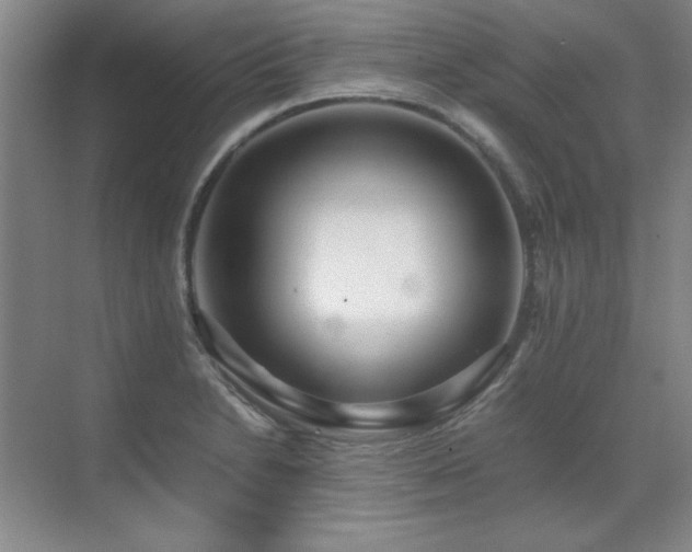 X0000071951230200607071201