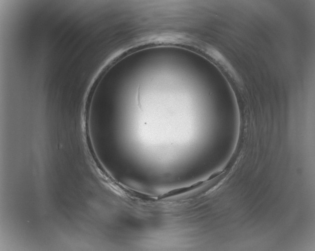 X0000071951232200607071201