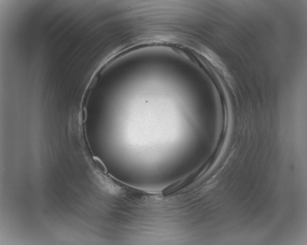 X0000071951234200607071201