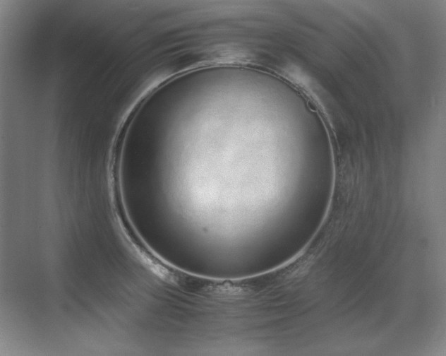 X0000071951235200607071201