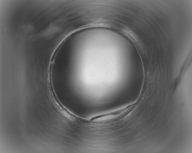 X0000071951236200607071201