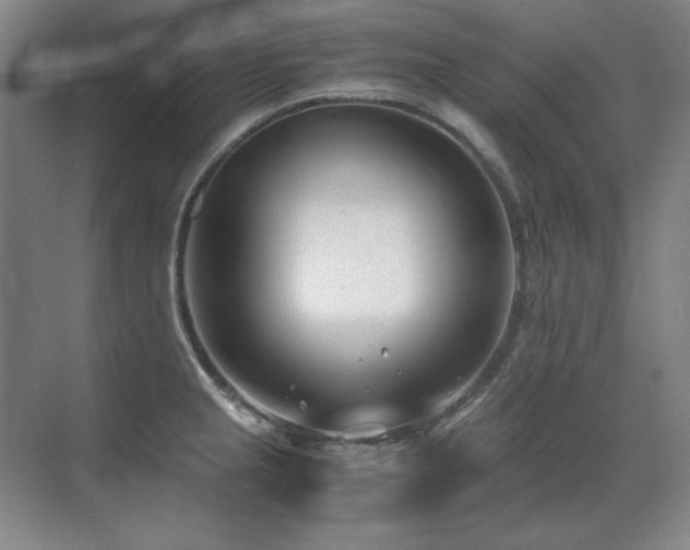 X0000071951237200607071201