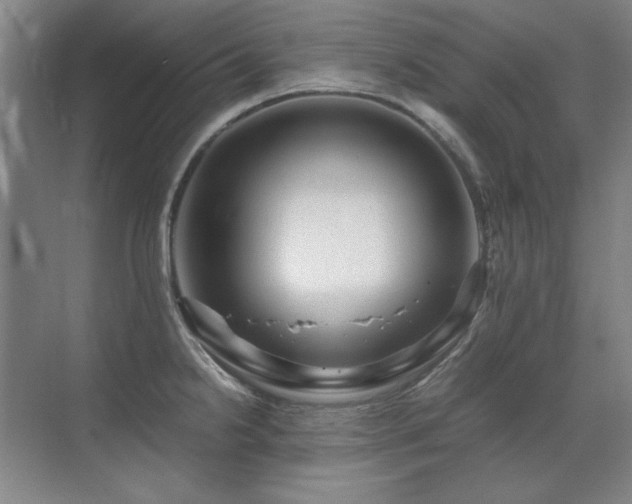 X0000071951238200607071202