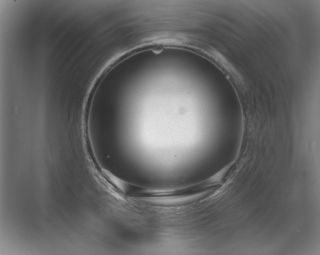 X0000071951240200607071202