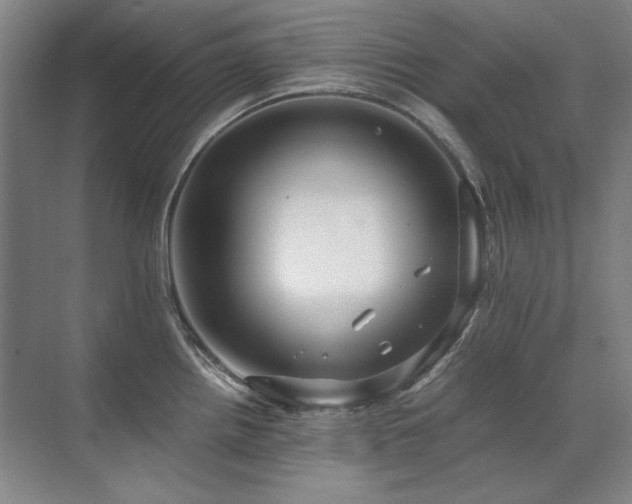 X0000071951242200607071202