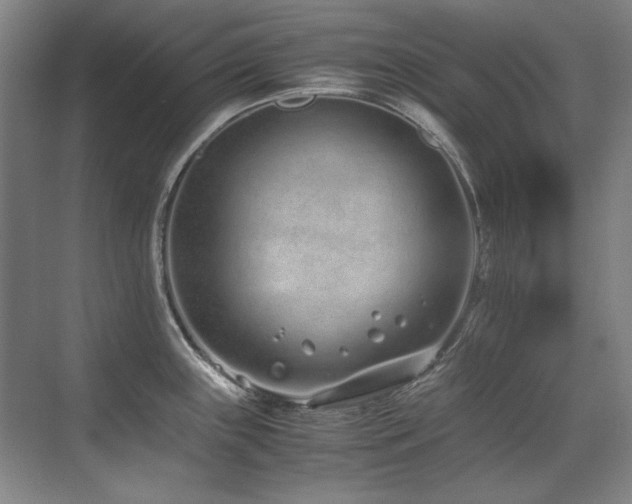 X0000071951243200607071202