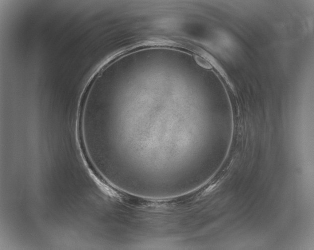 X0000071951245200607071202