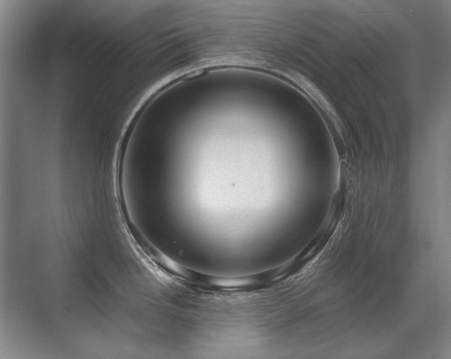 X0000071951246200607071202