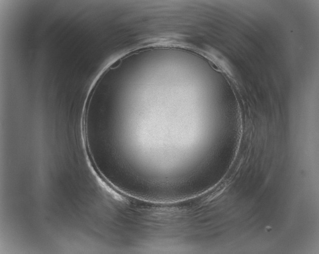 X0000071951247200607071202