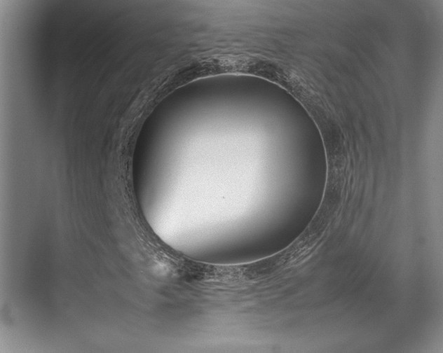 X0000071951249200607071201