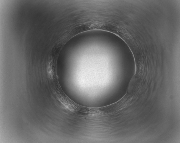 X0000071951250200607071201