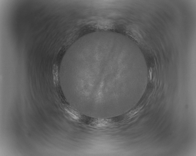 X0000071951251200607071201