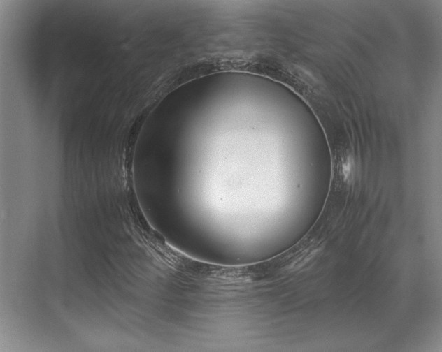 X0000071951252200607071201