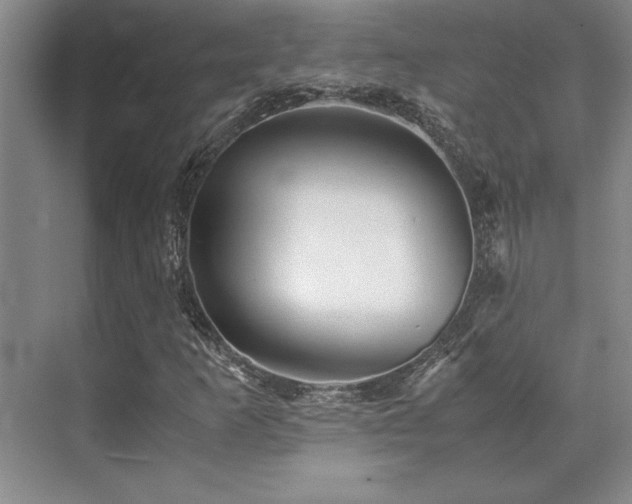 X0000071951253200607071201