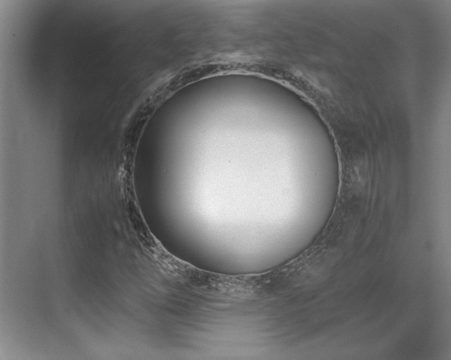 X0000071951254200607071201